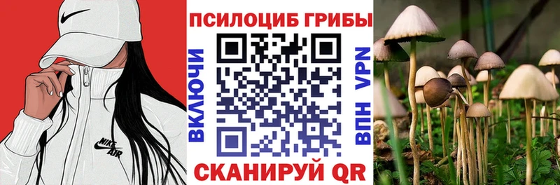 ссылка на мегу онион  Болохово  Псилоцибиновые грибы ЛСД  цена наркотик 
